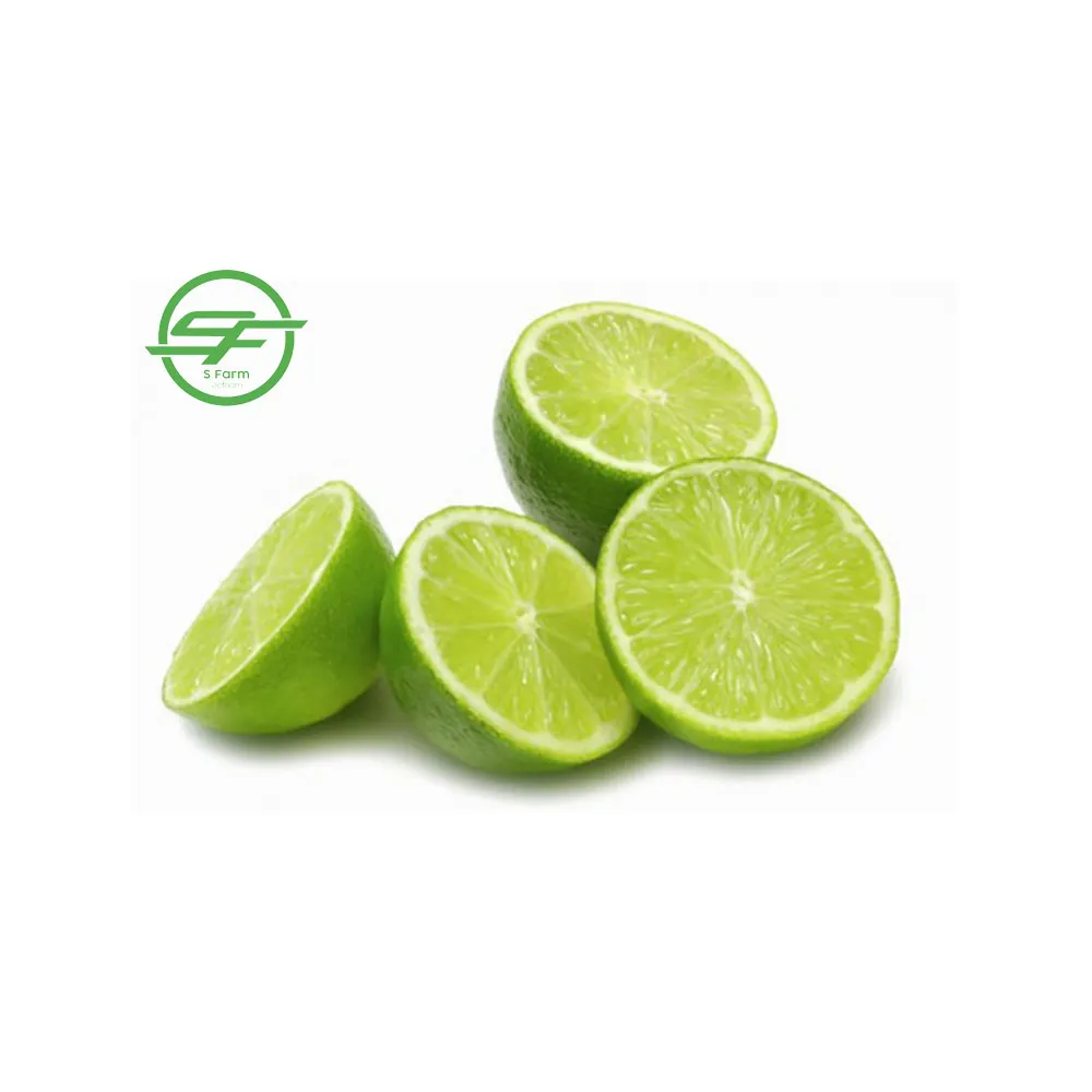 Vietnam Fresh Seedless Lemon (Whatsapp/zalo/wechat: +84 912 964 858)