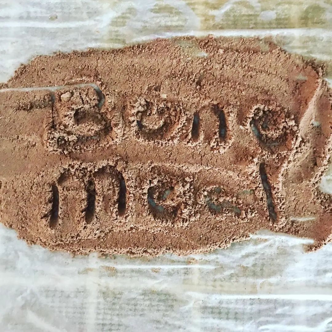 PURE SEA FISH MEAL/ CAT FISH MEAL - Beef Meat And Bone Meal