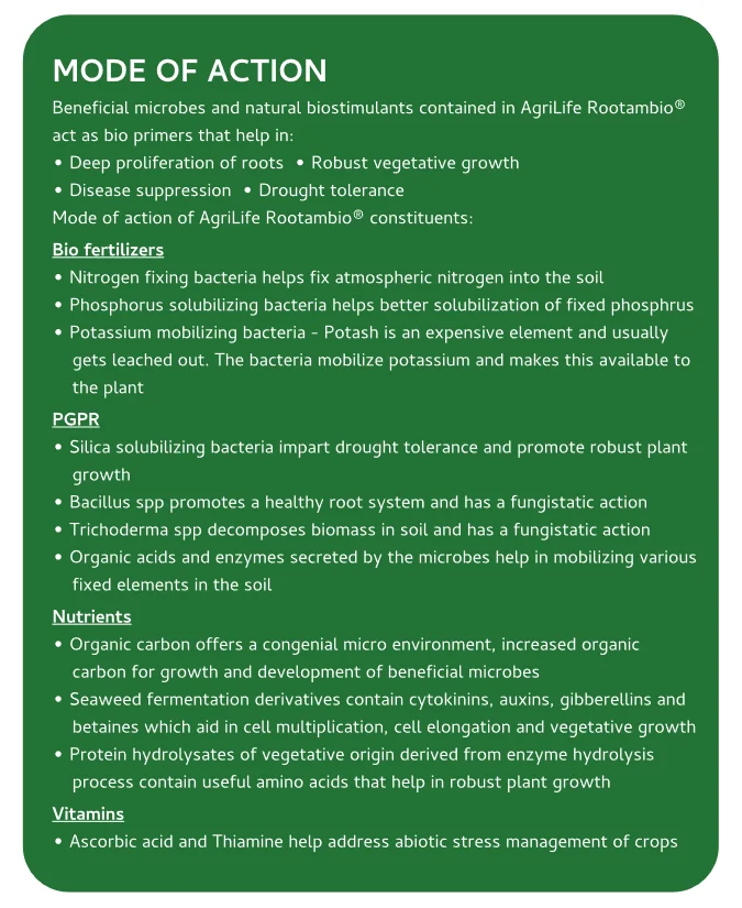 Screenshot (611).png