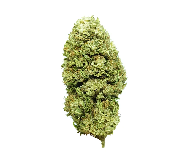 LEMON CBG - BEST PRICE EVER !