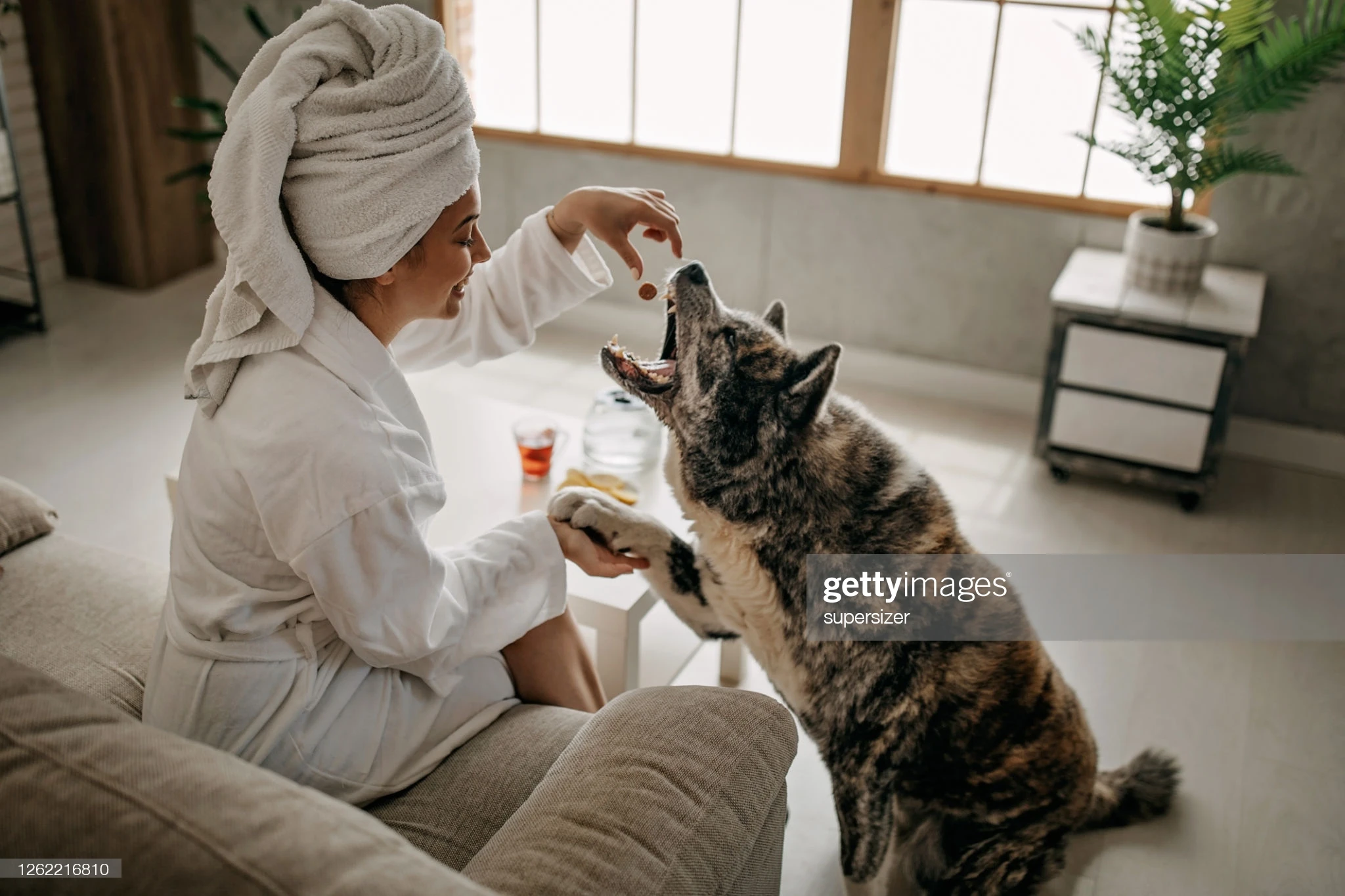 Suitable for all skin type Bath robe printed or logo print bath robe terry towel cloth or honey comb waffle wholesale bath robes