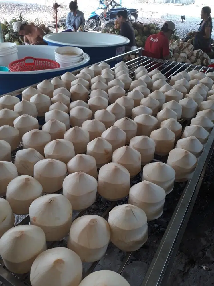 
Young coconut / Young fresh coconut Vietnam 