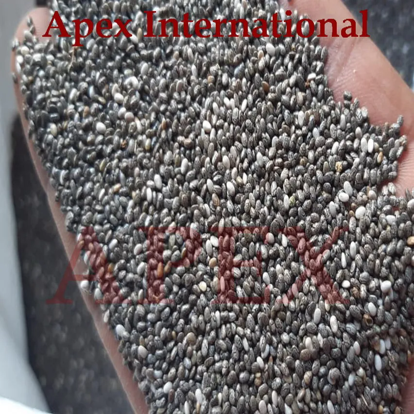 Семена ЧИА SALVIA HISPANICA оптом