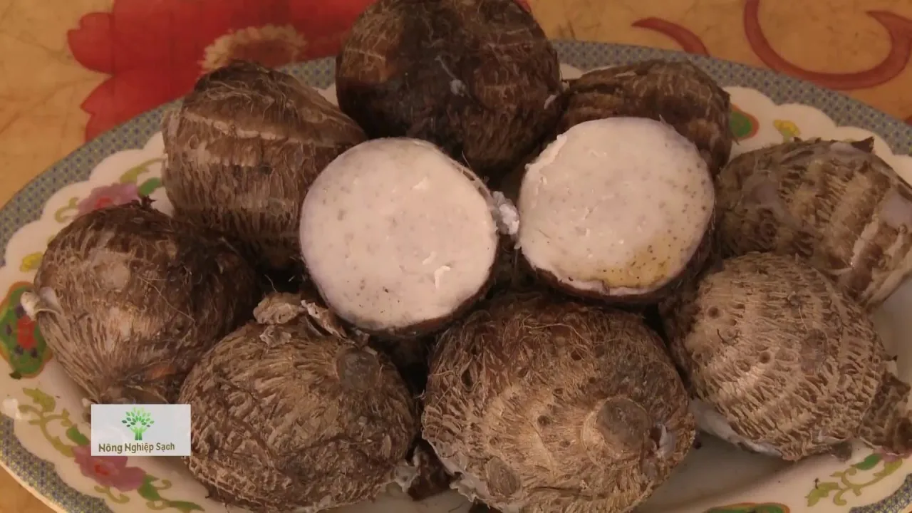  Высокое качество свежий Таро во Вьетнаме