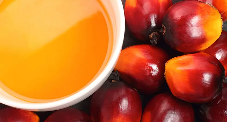 Pure Vegetable Cooking Oil (CP6 - CP8 - CP10) 100% Halal Palm Oil From Malaysia