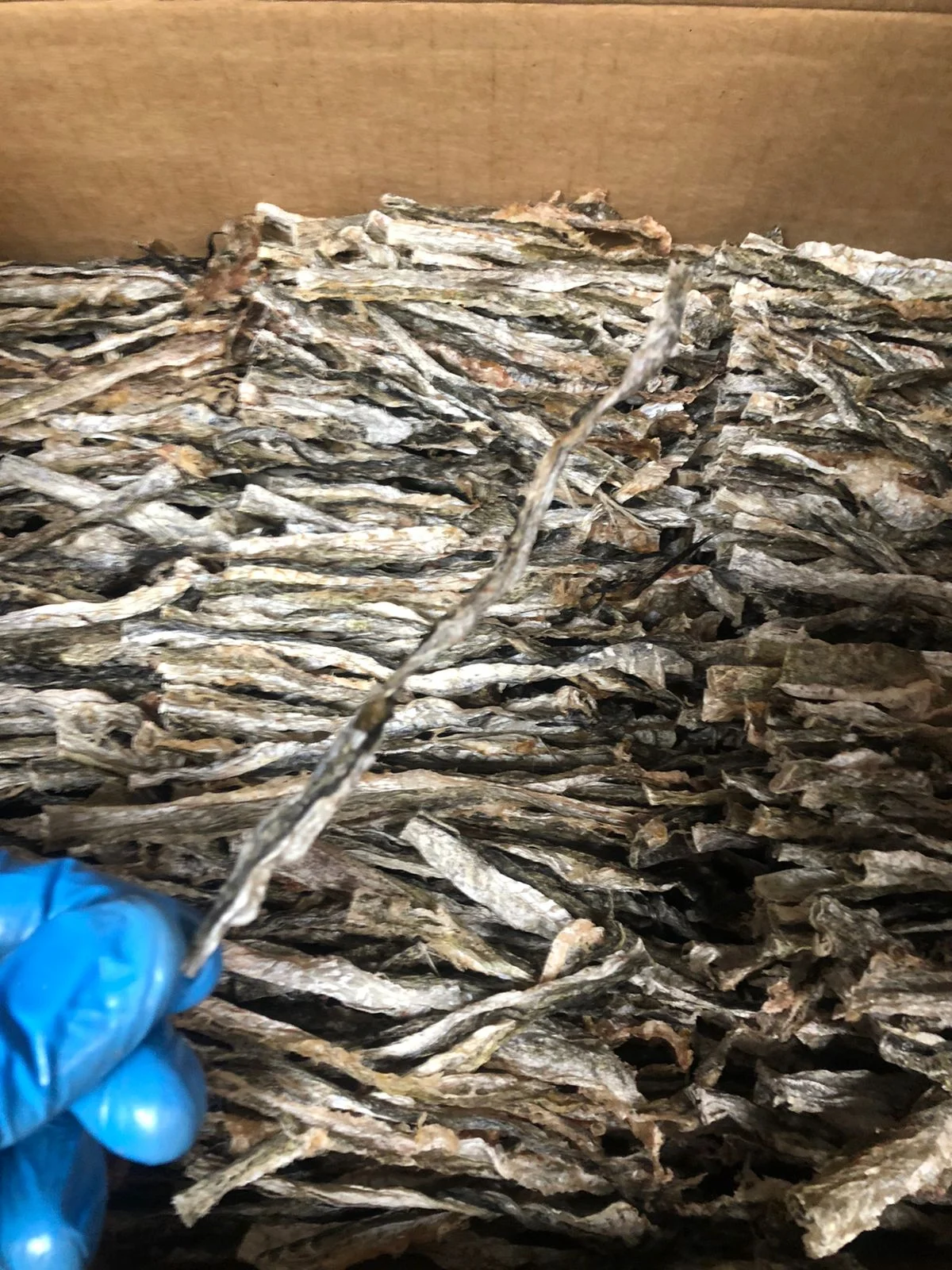 Pollock Dry Skin Dried Frozen Pollock Skin Fish in bulk from Russia manufacturer for export seafood supplier