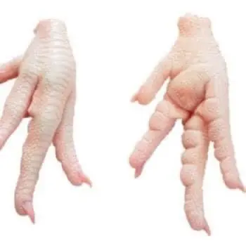 Frozen Whole Halal Chicken For China Market