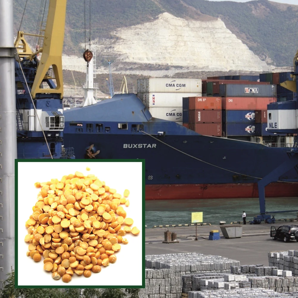 High quality split peas yellow 15/25/50 kg bags or in bulk, in stock
