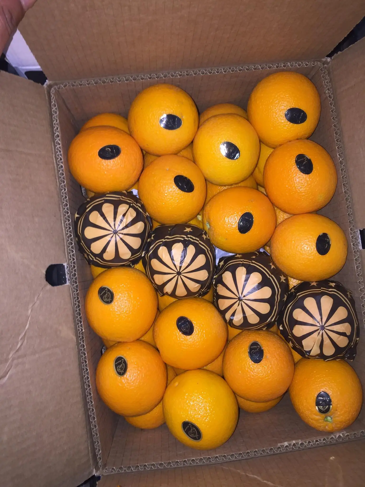 Высококачественная египетская свежая здоровая натуральная оранжевая коробка для соков, 15 кг