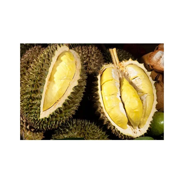 Fresh Durian Best Quality from Vietnam 2020 - Frozen Durians Cheap Price High Quality from Supplier