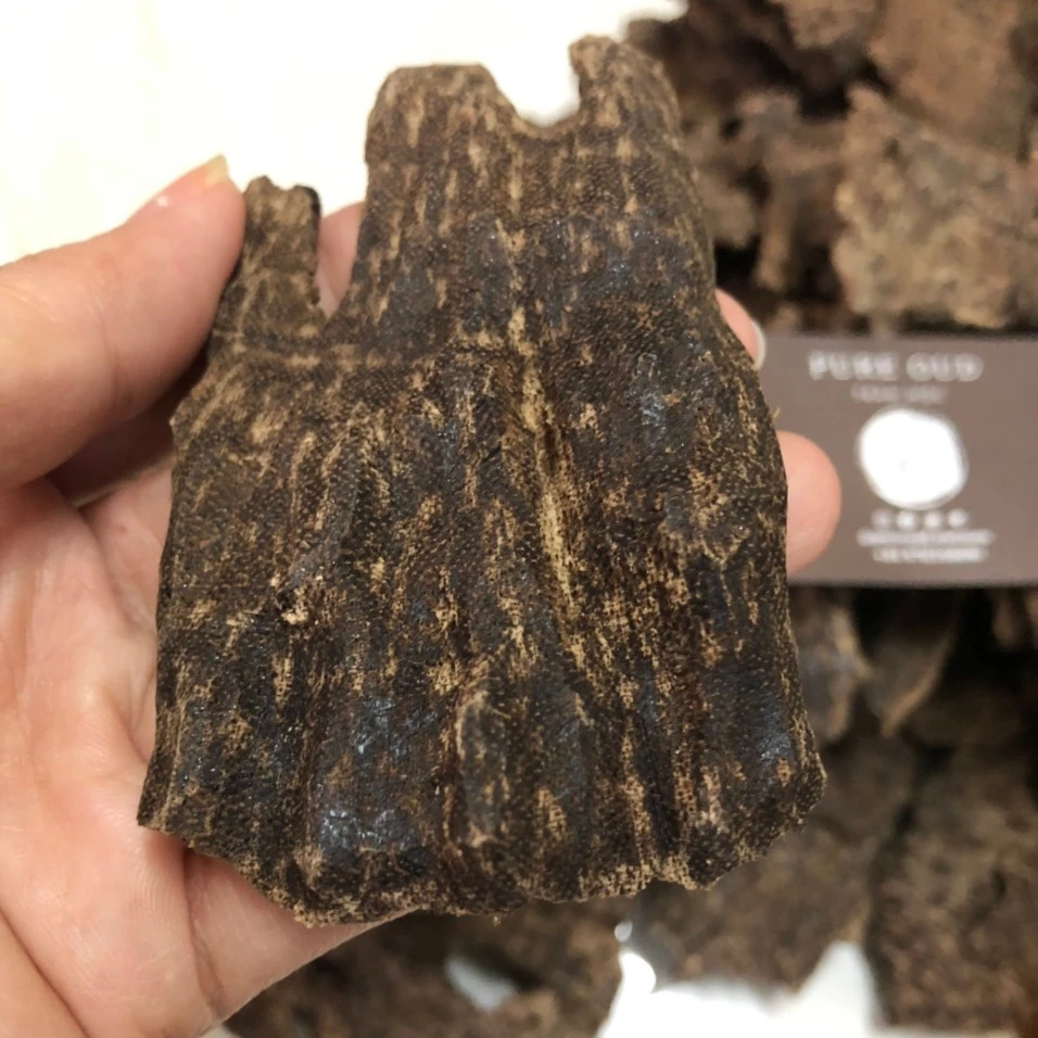 KING SNAIL JAR OUD WITH TOP CLASS PRODUCT FROM VIETNAM FOR DAILY USING AND RELAXATION