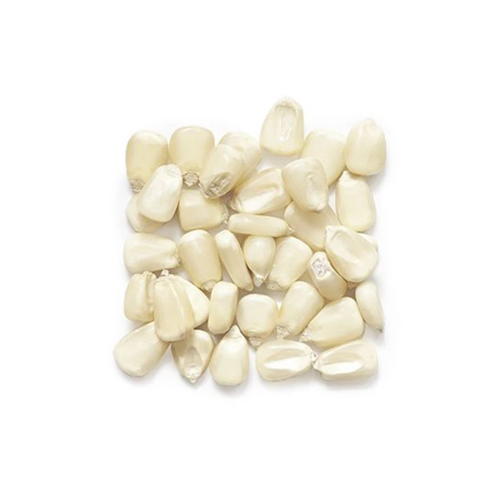 Желтая Кукуруза высшего качества для экспорта в больших количествах/желтая кукуруза лучшего корма животных