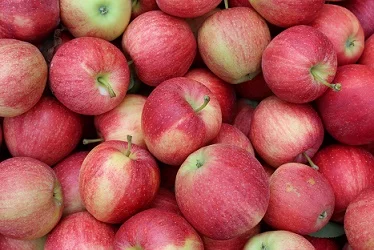 Fresh Royal Gala яблоки