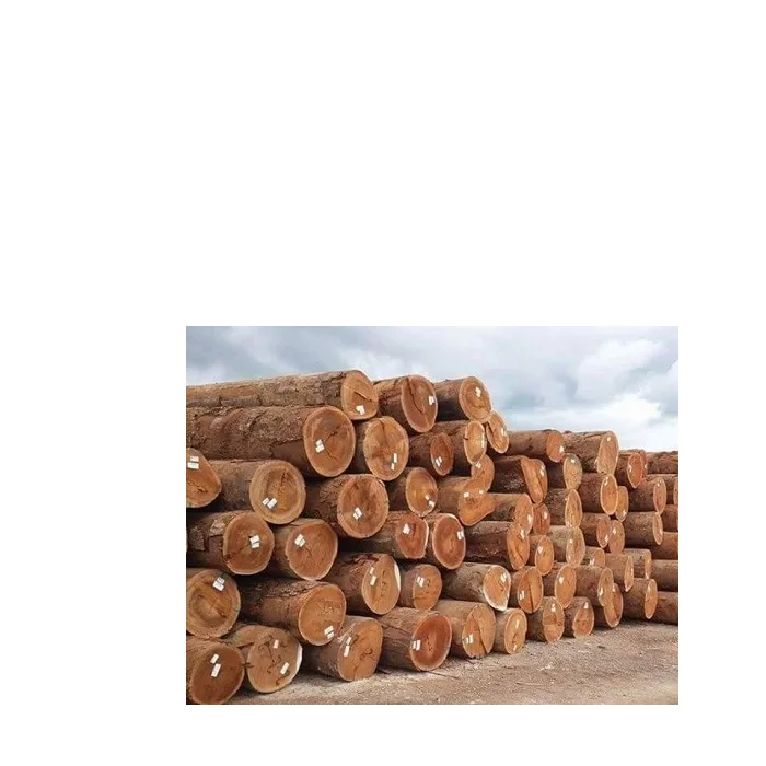 Sawn Timber logs/Beech Logs For Sale In Europe At Low cost.