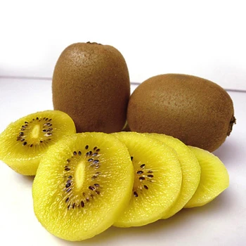 Top Grade Organic Fresh Kiwi Fruit 2022