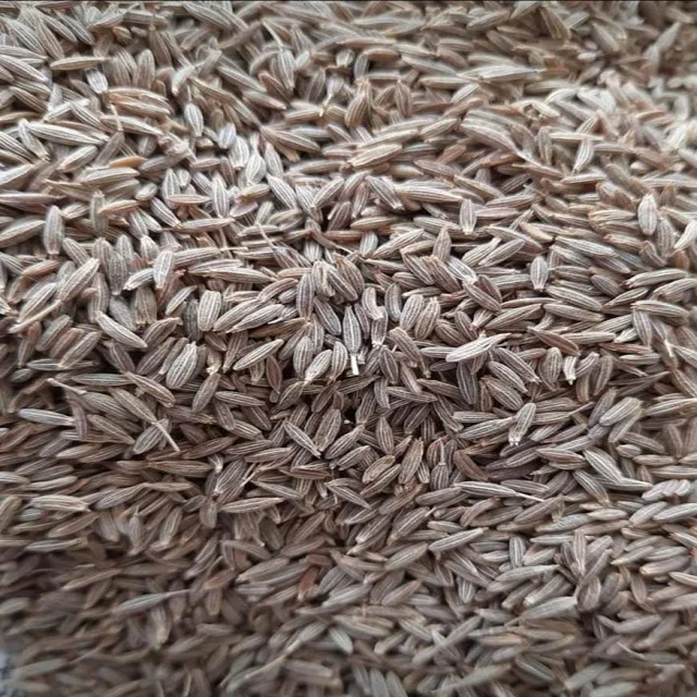 Семена тмина купите цену на семена