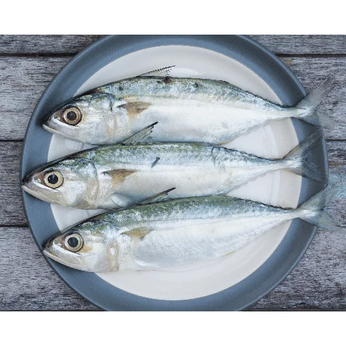 TOP SELLER FROZEN HORSE MACKEREL FROZEN SEAFOOD IQF Frozen Fish Food (Thai Lien Company, Ms Phuong: +84789196389)