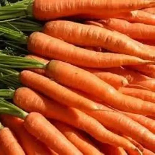 
Fresh Carrots 