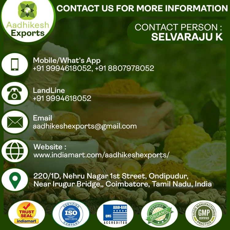 Best Selling 100% Natural Pure Turmeric Milk Powder Best For Health And Skin Care Buy From Leading Supplier