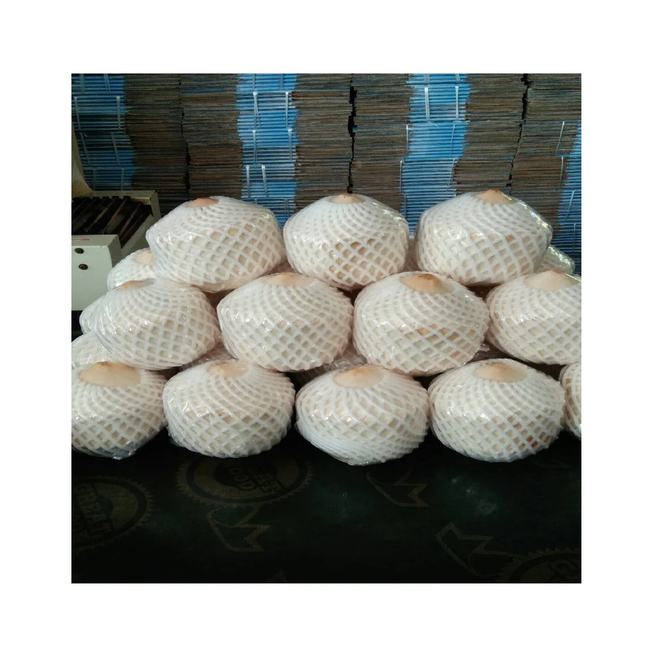 Natural Sweet Taste Diamond Cut Shape coconut fresh coconut young coconut- cocobe export from Thailand