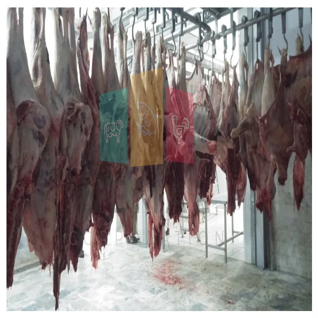 
High Quality Frozen Halal Beef meat Best Export Quality 