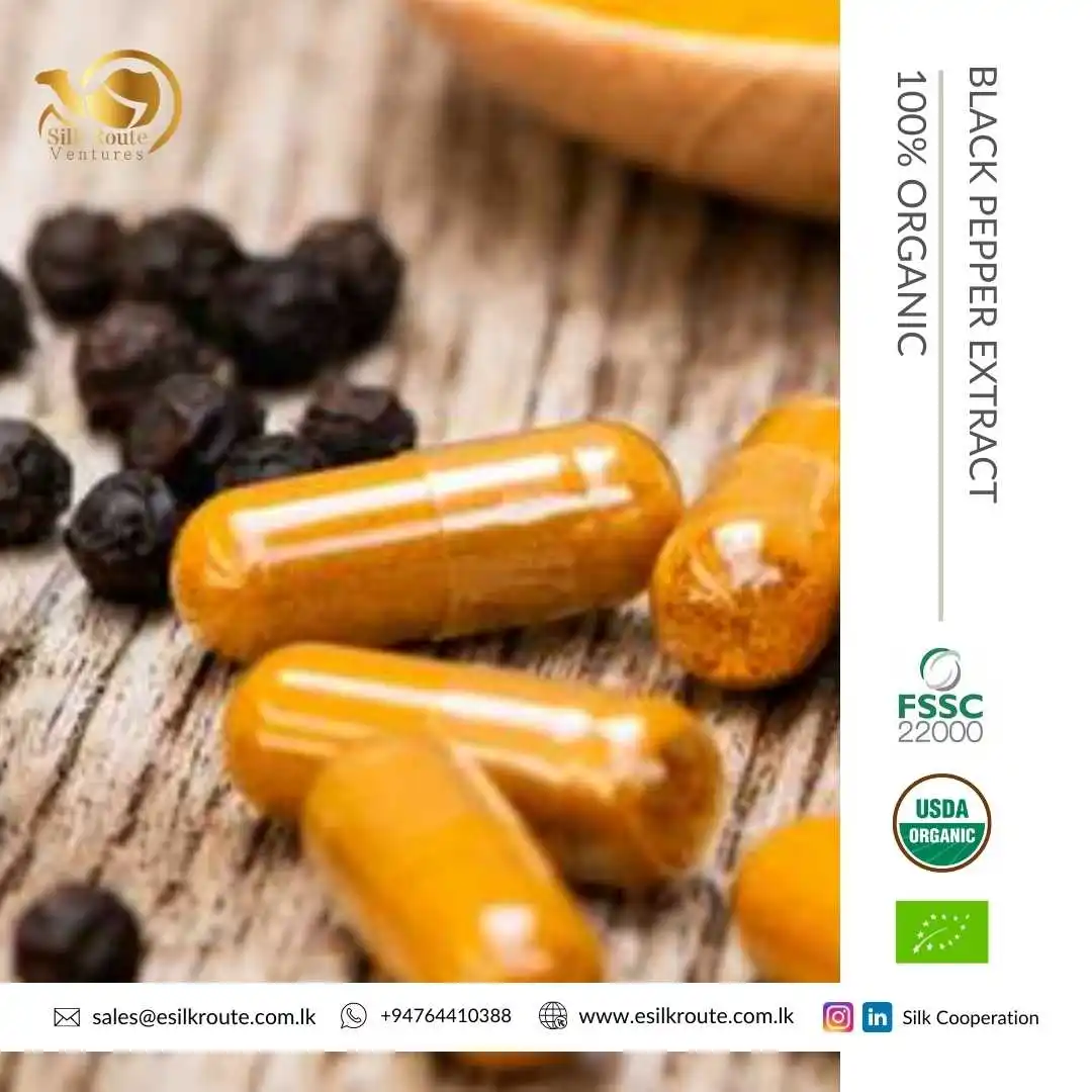 Bulk Selling Superb Quality 100% Pure Natural Organic 95% Piperine Turmeric + Black Pepper Extract