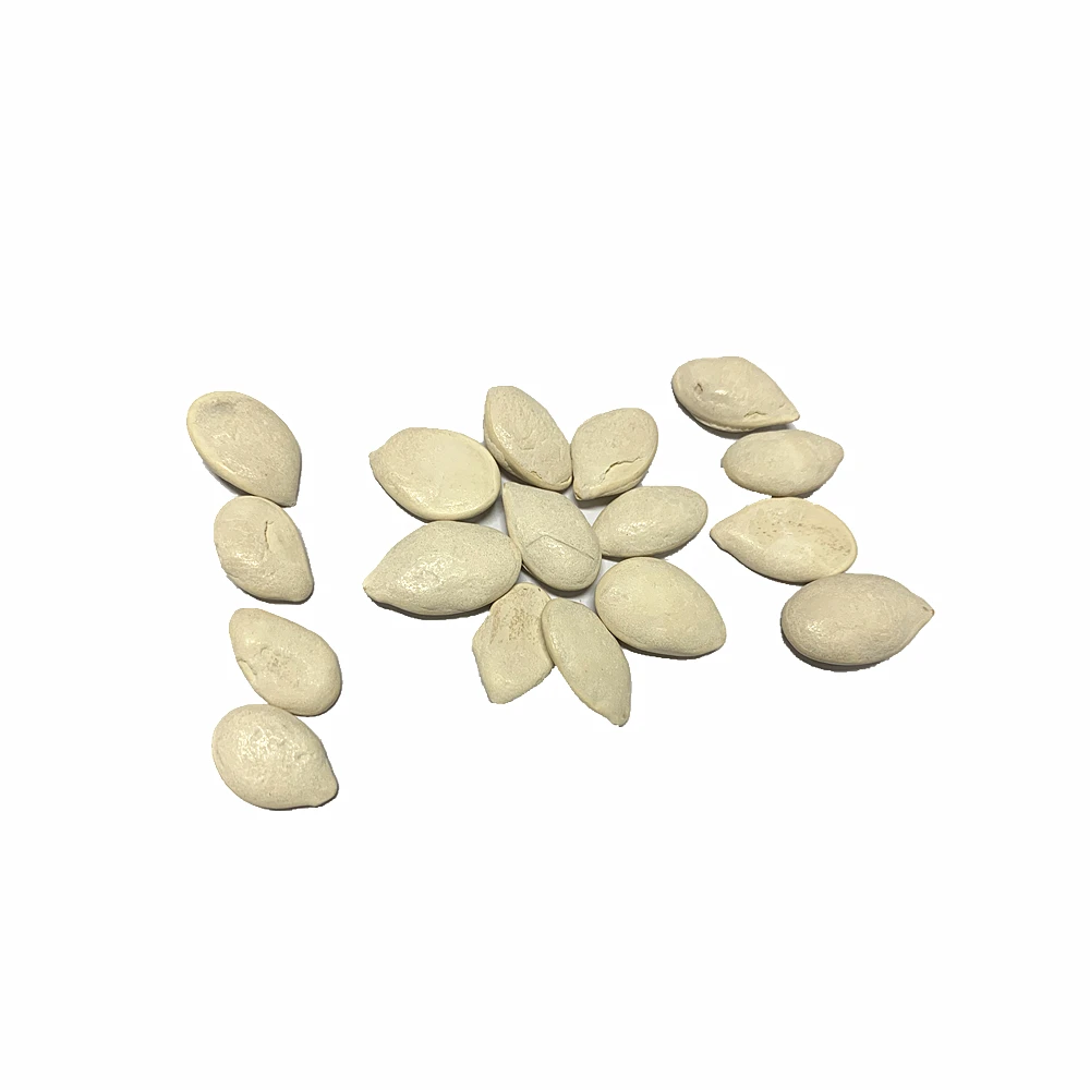 Pumpkin Seed Kernel Supplier Sells Organic Pumpkin Seeds