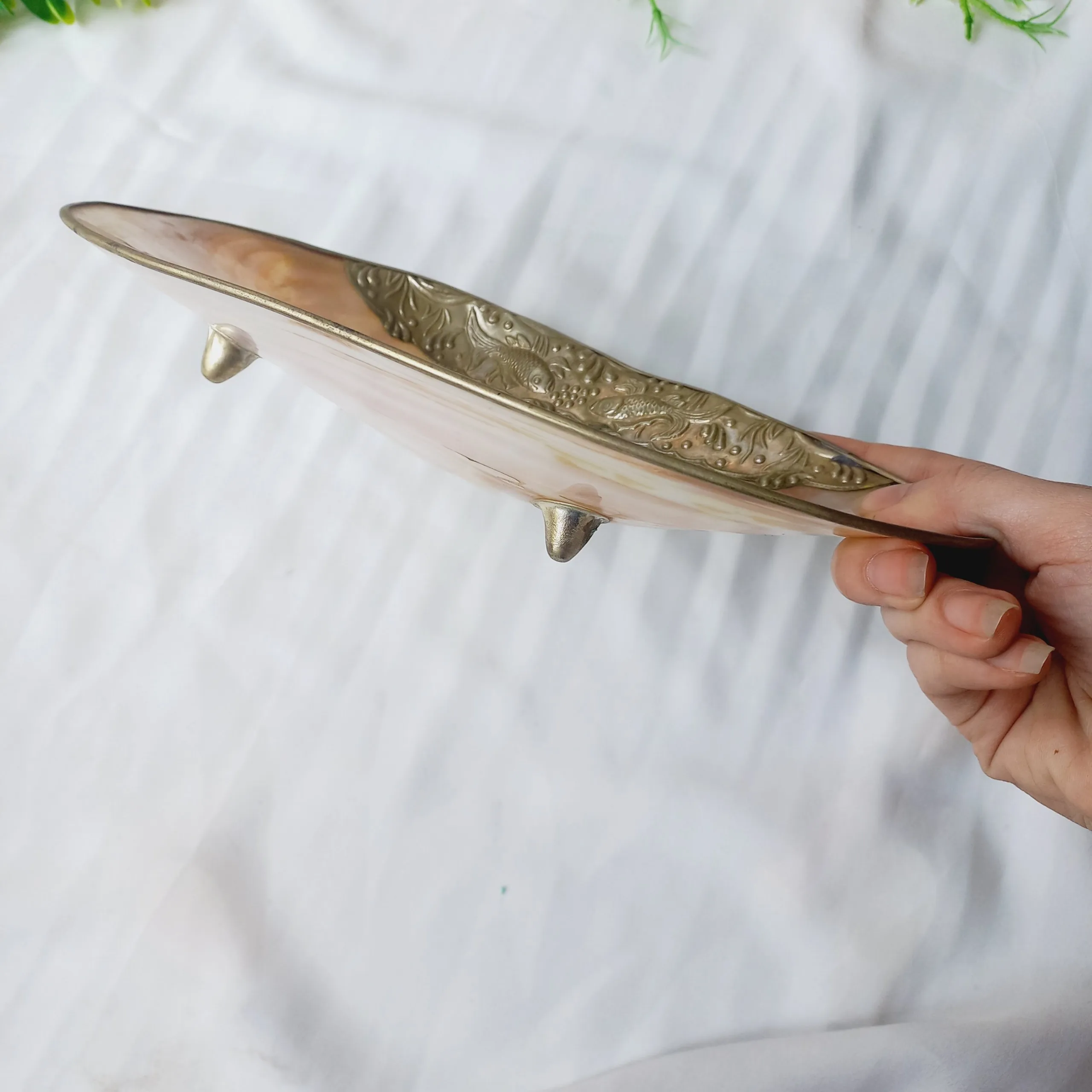 Тарелки с перламутровыми ракушками Amazon тарелки для икры серебряной овальной оправой инкрустацией серебряными краями