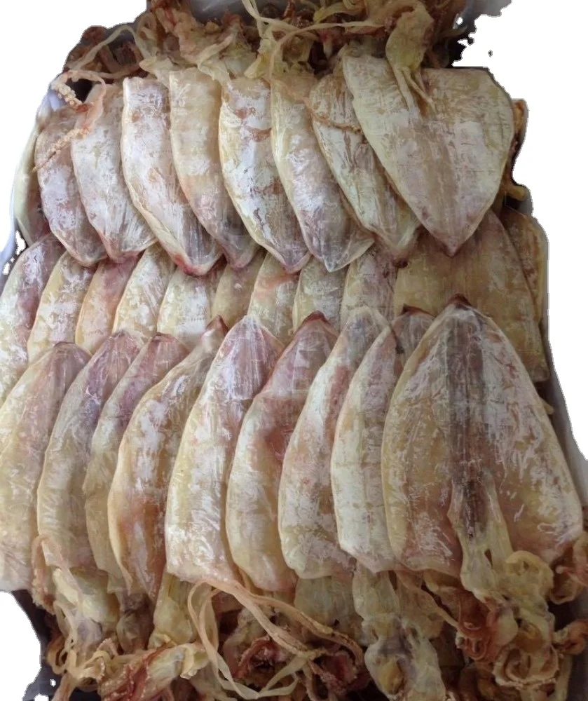 High calcium Bird Munchies Cuttlefish Bone - cuttle bone - squid bone