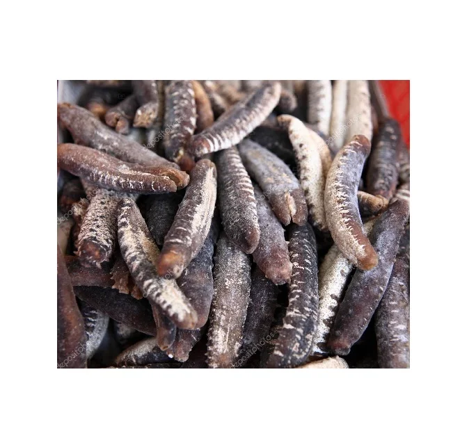 HIGH QUALITY BEBAUTY TREATMENT STOCK FOR SALE NATURAL DRIED FRESH SEA CUCUMBER VIETNAM //Rachel: 84896436456