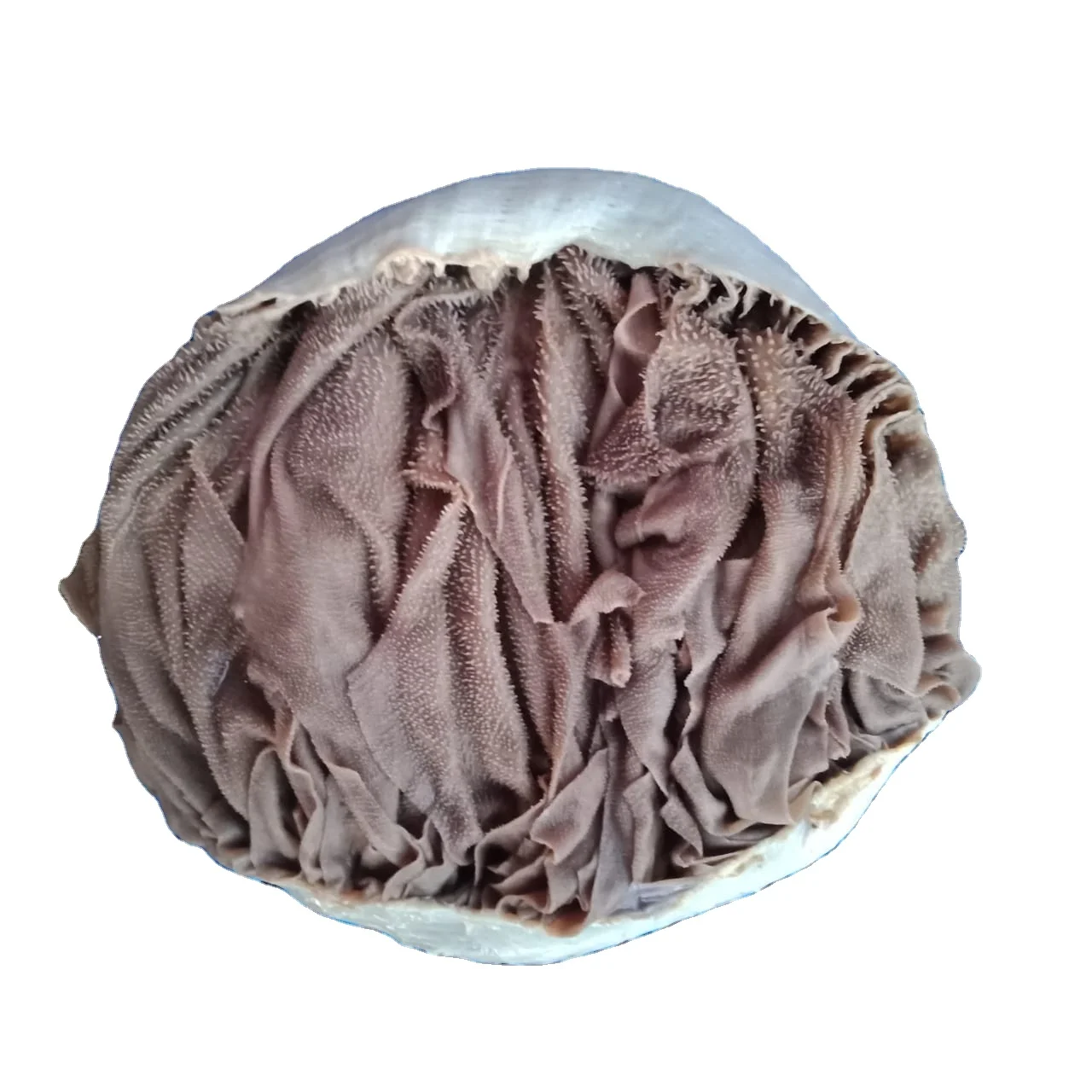 Wholesale Beef Frozen Omasum / Dry salted omasum Frozen Beef / Frozen beef tripe, frozen cow stomach, beef tripes cleaned