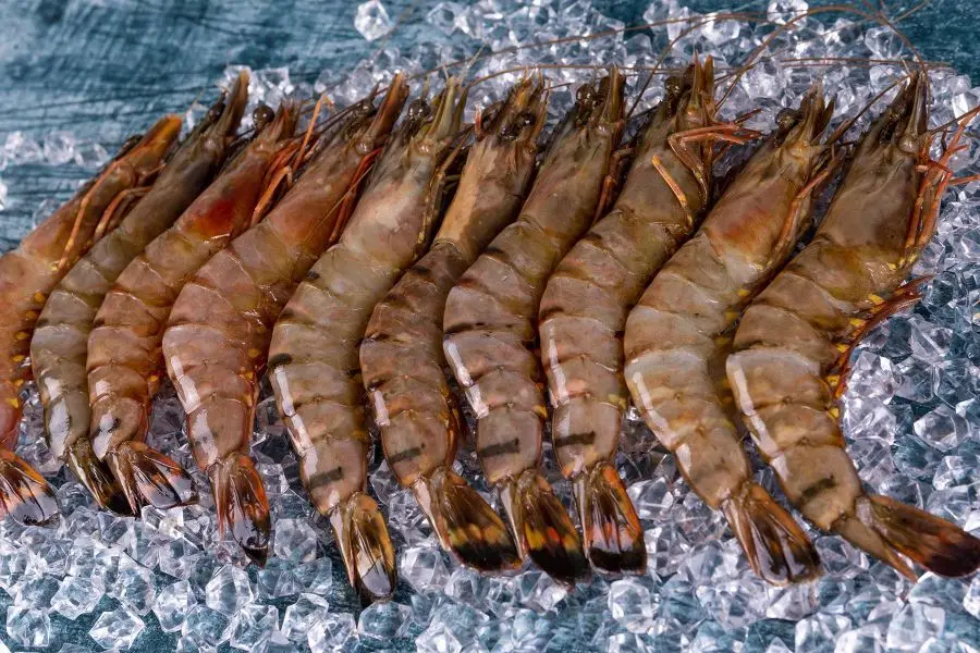  Тигровые креветки замороженный черный тигр гигантские оптом