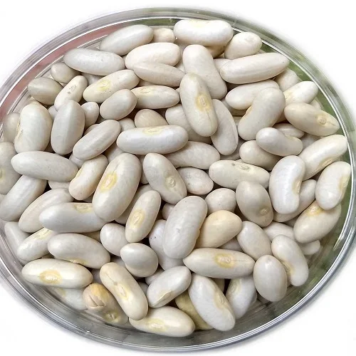 Polished Organic Non-GMO Dark Red Kidney Beans