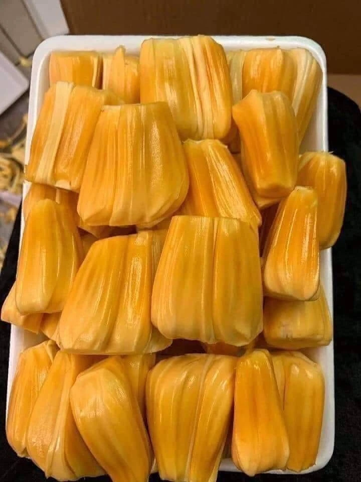 Thai Jackfruit made in vietnam 100% Natural Organic Cultivation type Wholesale Hot 2022