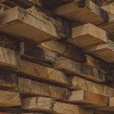 Canadian Hard Maple/ Black Walnut/ Ash Veneer Logs, 12-30 inches