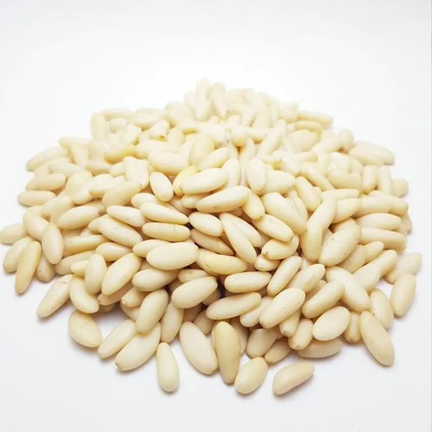 Pine Nut Kernels Original pine nuts / bulk and small package pine nuts