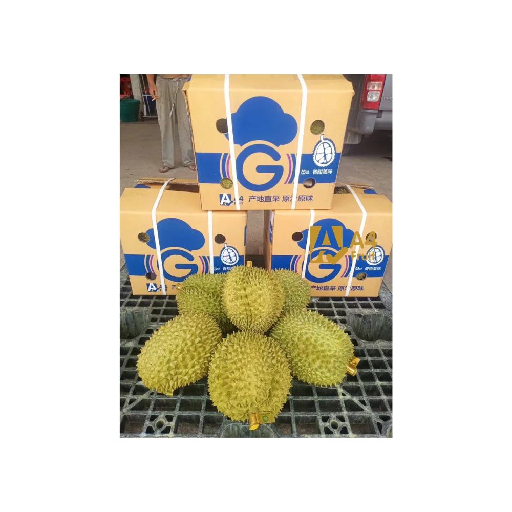 Свежий дуриан Таиланд