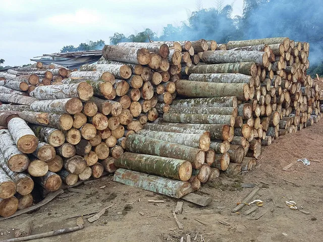 Лучшая древесина balsa из Эквадора для пропеллеров для лезвий