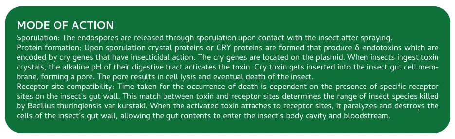 Screenshot (1056).png