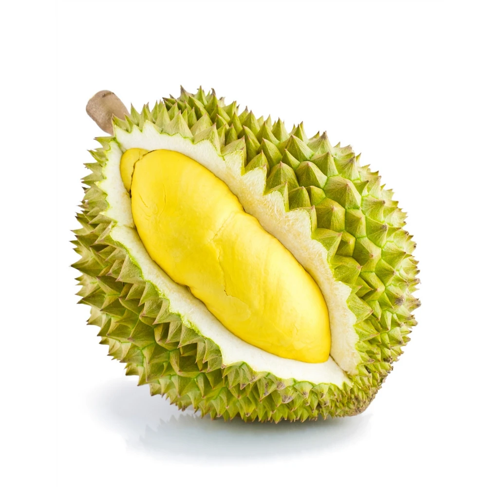 Premium Grade Made In Vietnam Fresh Durians 100% From Natural Fresh And Sweet