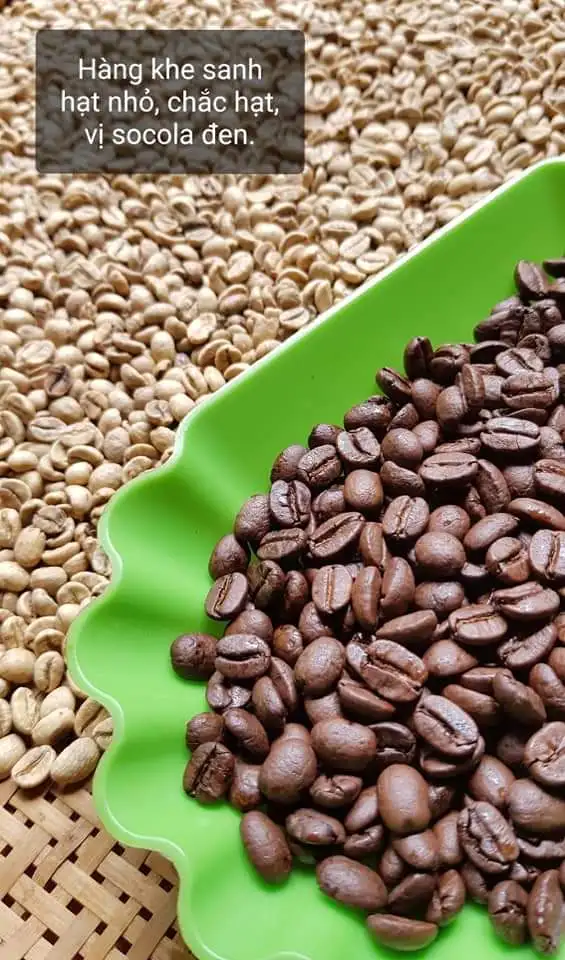  Горячая цена Arabica кофейные зерна оптом 18 scr жареные смесь кофе из