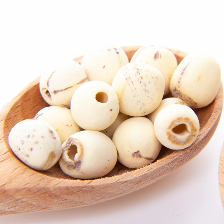 Качественные семена белого лотоса, оптовая продажа, семена лотоса