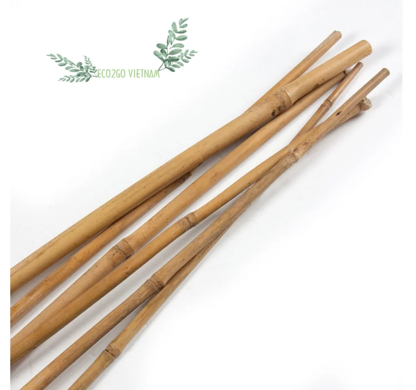 Wholesale Cheapest Price 2024 Bamboo Stakes / Bamboo Canes/ Bamboo Stake Gardening Tonkin High Quality Made in Eco2go Vietnam