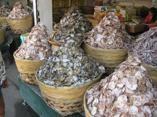 Dried seafood octopus 1 Pound (454 grams) from Binh Dinh (Viet Nam ) - NATURAL THE LOWEST DRIED OCTOPUS VIET NAM