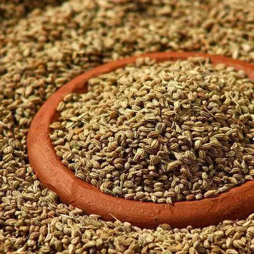 Best quality Ajwain seed / organic Ajwain seeds