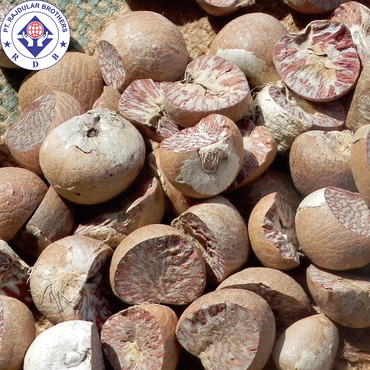 NEW CROP BETEL NUT 90-95%