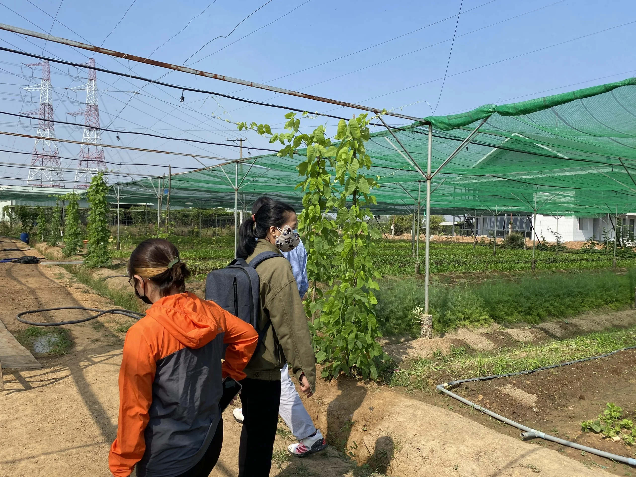 TamEco Vietnam High Performance Supplying Business Services Agricultural product Agency Trading services