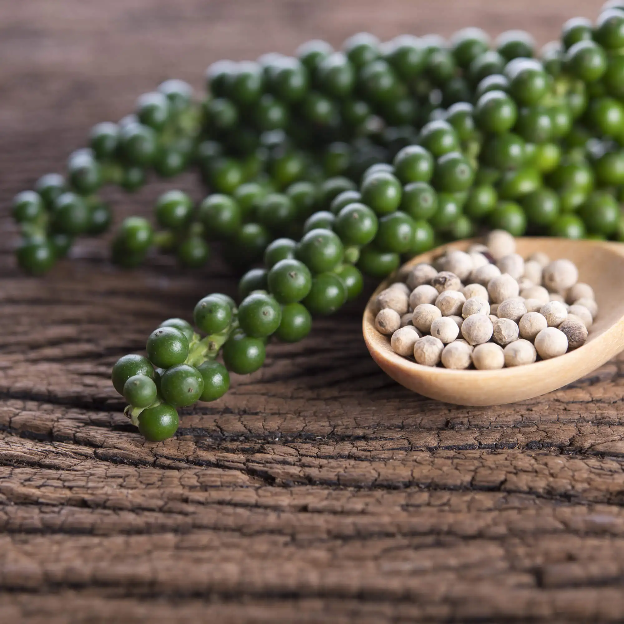 Высшее качество вьетнамский полный белый перец сушеный острый для оптовой продажи