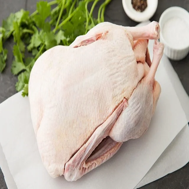 
Halal Frozen Duck @ Fresh-healthy-top Sale 