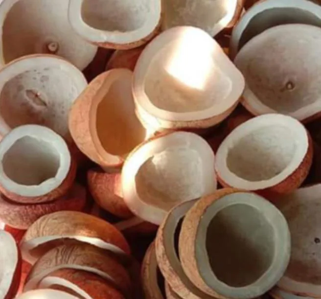 Идеальный белый коричневый сладкий жирный вкус полностью сушеный кокосовый копра по надежной цене от Sulawesi Indonesia, WA + 62811446099